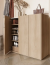 EASY EA-05 Additional shelves for chests EA-01,EA-03 (2 pcs) oak scandi