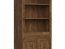 Patras REG2D1S-DARL Tall cabinet