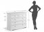 Belluno Elegante PL005 5S Chest of drawers