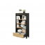 Spot SP-03 Bookcase with lighting