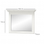 Irys LUS100 Mirror